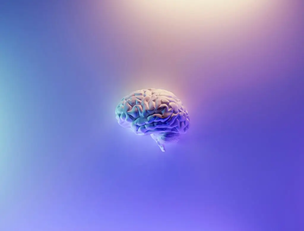 Hd Neuro 1024x778